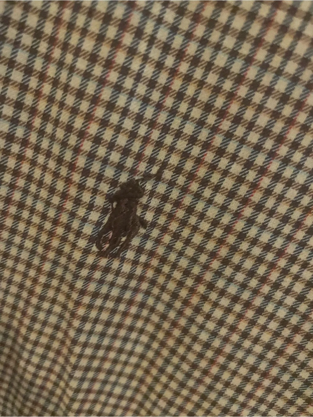 Ralph Lauren Brown and Cream Micro-Check Button-Down Shirt